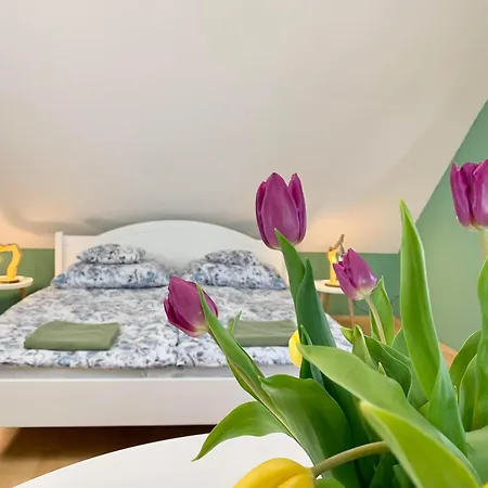 Guest house Vazul Vendeghaz Vaszoly