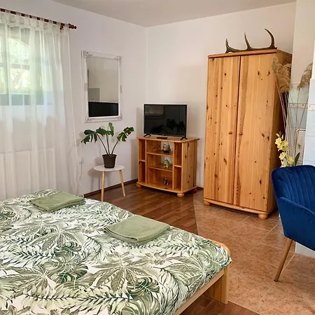 Guest house Vazul Vendeghaz