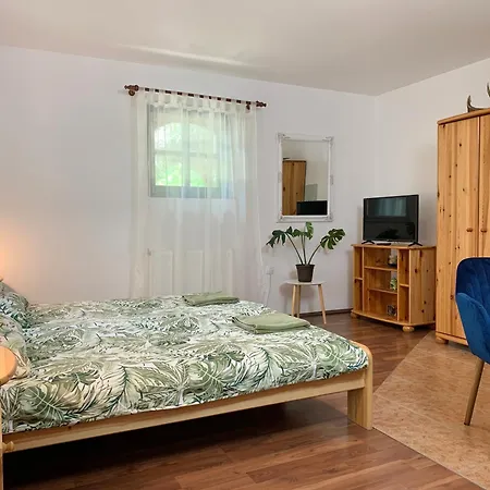 Guest house Vazul Vendeghaz *